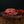 Chuck Steak